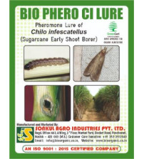 Combo Pack of Bio Phero CI (Sugarcane Early Shoot Borer) Lure & Delta trap set (Pack of 10 Pieces)